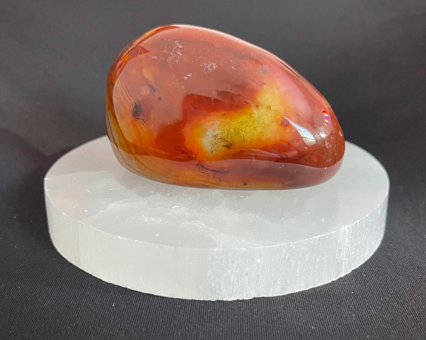 Sardonyx Palm